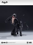 圓野文化 X UPFinegures 良品製造 1/12 蝙蝠俠：阿卡漢騎士 BATMAN CATWOMAN 貓女 可動人偶