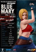 VERYCOOL 1/6 VCF-2071 Blue Mary 拳皇 布魯 瑪麗 包膠人偶