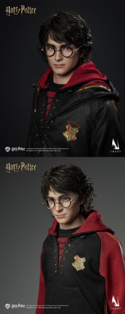 INART 1/6 Ag A046 Harry Potter 哈利波特 火盃的考驗 哈利波特 收藏人偶