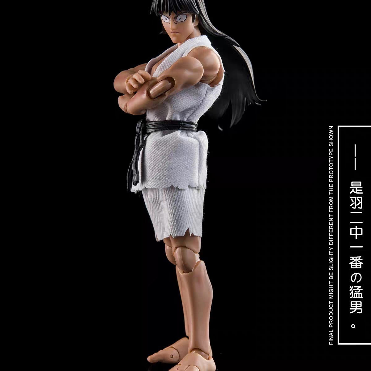 大聖 DASIN 1/12 森林好小子 深山太保 可動成品