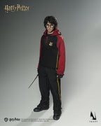 INART 1/6 Ag A046 Harry Potter 哈利波特 火盃的考驗 哈利波特 收藏人偶