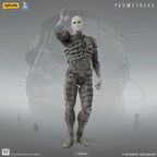 52TOYS 1/12 閃電奇舞 普羅米修斯 工程師 prometheus ENGINEER 可動人偶