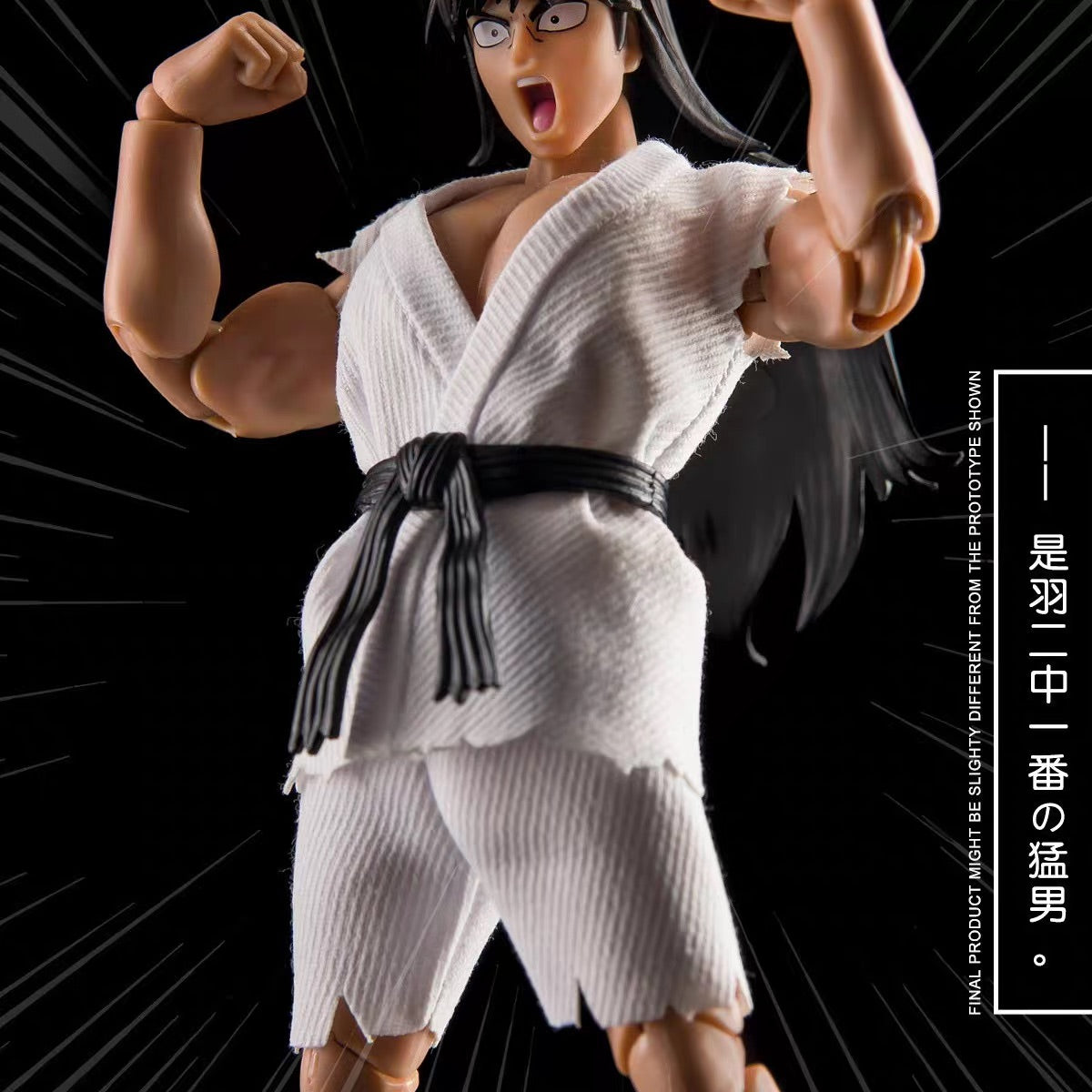 大聖 DASIN 1/12 森林好小子 深山太保 可動成品