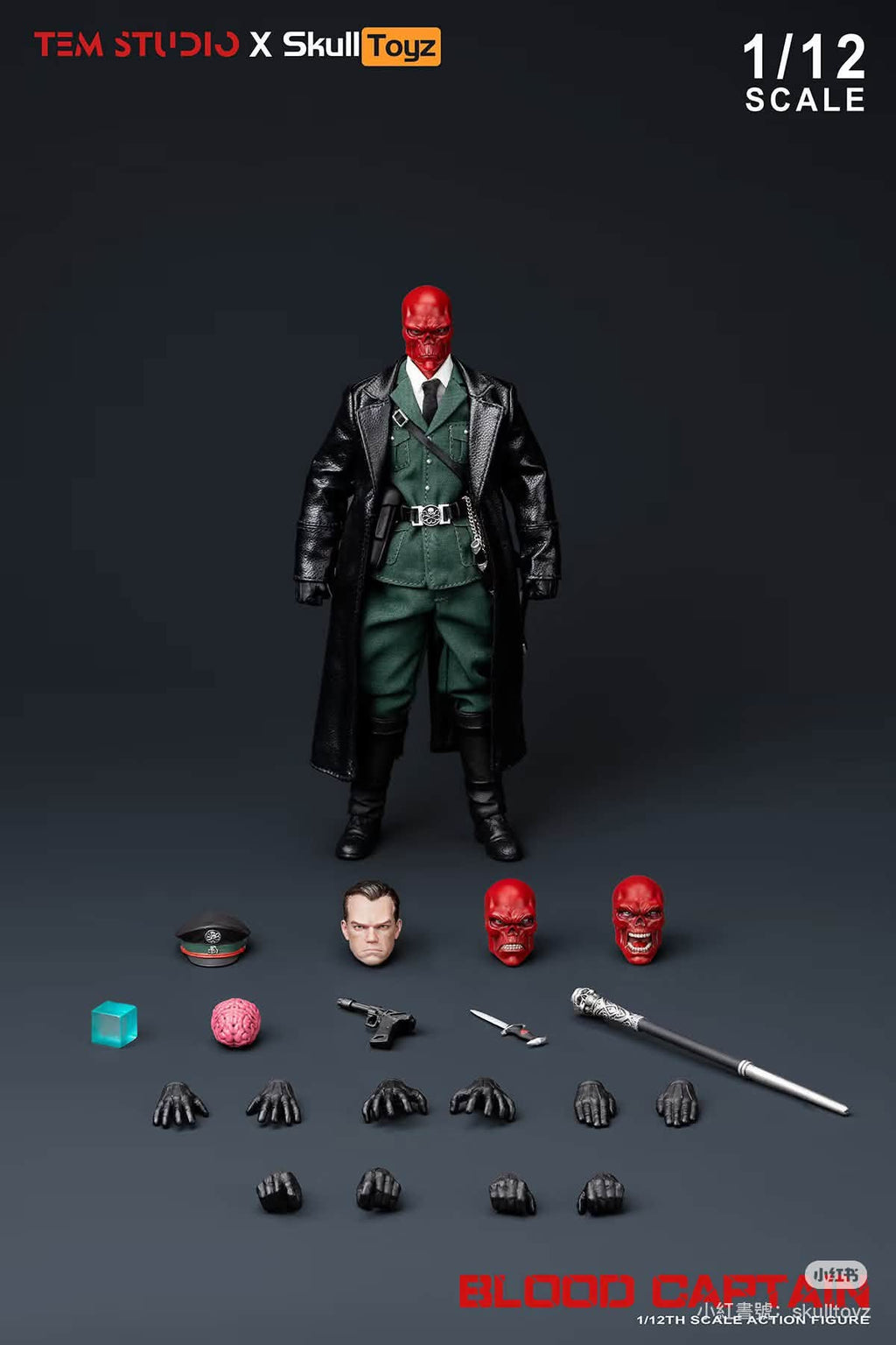 TEM STUDIO x Skull Toyz 1/12 寂血上校 A款 綠軍裝 B款 黑軍裝 TEMS007 可動人偶