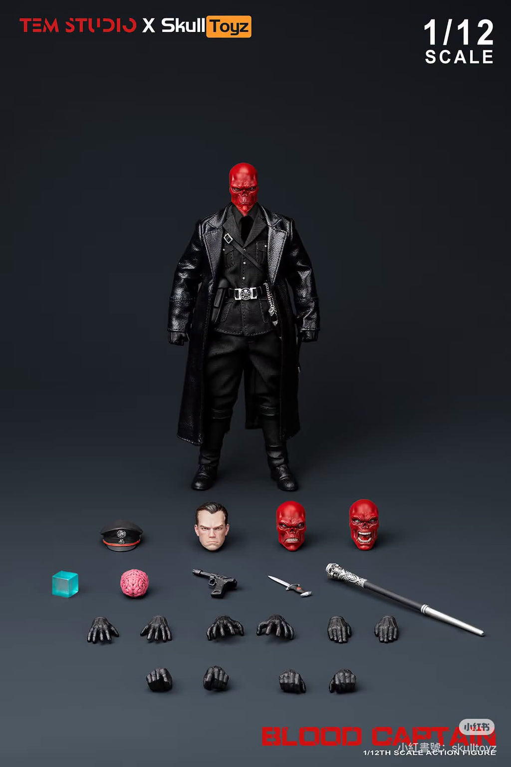 TEM STUDIO x Skull Toyz 1/12 寂血上校 A款 綠軍裝 B款 黑軍裝 TEMS007 可動人偶