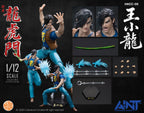 AINT 1/12 HKCC-05 新著龍虎門 王小龍 Dragon Tiger Gate Little Dragon Wang Xiaolong 可動人偶