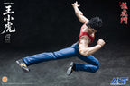 AINT 1/12 HKCC-04 新著龍虎門 王小虎 Dragon Tiger Gate Tiger Wong Wang Xiaohu 可動人偶