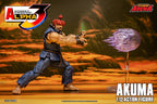 STORM ARENA 1/12 STREET FIGHTER Alpha 3 GOUKI 豪鬼 AKUMA SFSA07 可動人偶