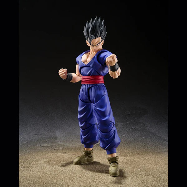 Bandai 1/12 SHF 龍珠超 超級英雄 Super Hero 孫悟飯 可動人偶