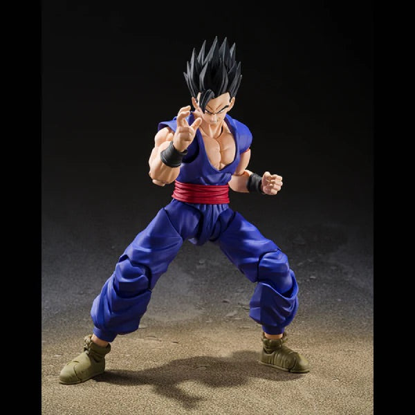 Bandai 1/12 SHF 龍珠超 超級英雄 Super Hero 孫悟飯 可動人偶
