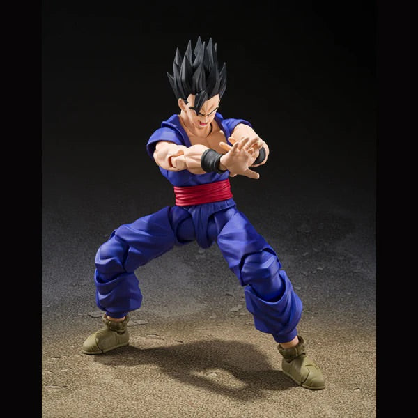 Bandai 1/12 SHF 龍珠超 超級英雄 Super Hero 孫悟飯 可動人偶