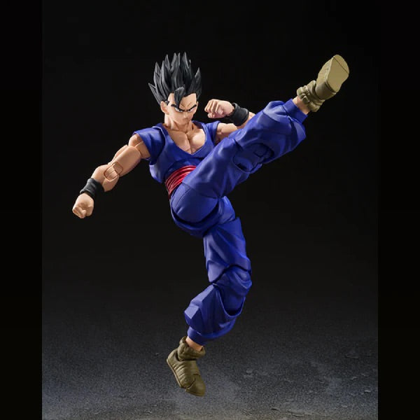 Bandai 1/12 SHF 龍珠超 超級英雄 Super Hero 孫悟飯 可動人偶