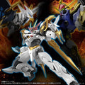 Bandai HG Amplified 增幅化 龍王丸 拼裝模型